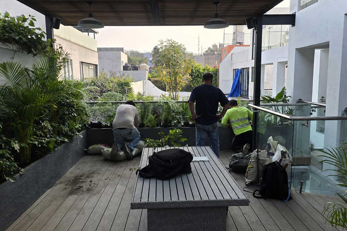 Roof gardens y terrazas en CDMX