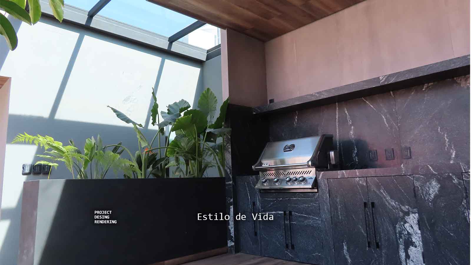 Diseño y construcción de roof garden en CDMX